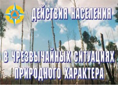 Комплект плакатов "Действия населения в ЧС природного характера" - fgospostavki.ru - Лесной