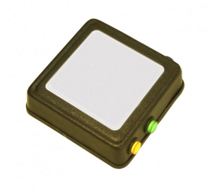 Говорящий магнит - fgospostavki.ru - Лесной