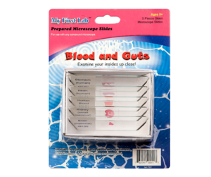 Набор микропрепаратов для микроскопа №1 «Человек» - fgospostavki.ru - Лесной