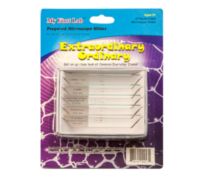 Набор микропрепаратов для микроскопа №3 «Необычное в обычном» - fgospostavki.ru - Лесной