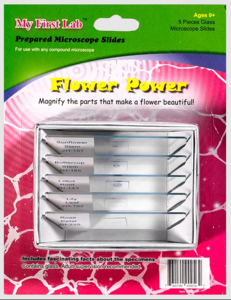 Набор микропрепаратов для микроскопа №6 «Цветы» - fgospostavki.ru - Лесной