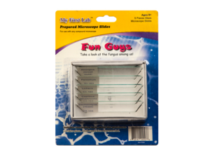 Набор микропрепаратов для микроскопа №8 «Грибы» - fgospostavki.ru - Лесной