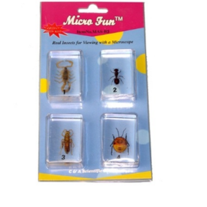 Набор микропрепаратов для стереомикроскопа №14 «Насекомые» - fgospostavki.ru - Лесной