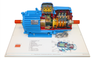 Стенд-планшет «Асинхронный двигатель с фазным ротором» - fgospostavki.ru - Лесной