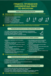 Стенд "Правила выполнения лабораторных работ по биологии" Вариант 1 - fgospostavki.ru - Лесной