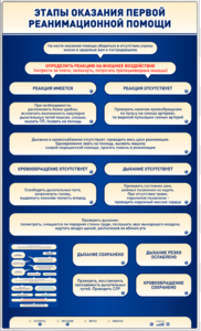 Электрифицированный стенд-тренажер "Этапы оказания первой реанимационной помощи" - fgospostavki.ru - Лесной