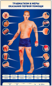 Электрифицированный стенд-тренажер "Травматизм и меры оказания первой помощи" - fgospostavki.ru - Лесной