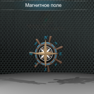 Виртуальная работа «Магнитное поле Земли» - fgospostavki.ru - Лесной