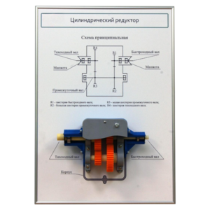 Плакат планшет с демонстрационной моделью «Цилиндрический редуктор» - fgospostavki.ru - Лесной