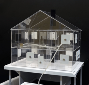 Лабораторная установка для исследования распространения дыма в жилых помещениях - fgospostavki.ru - Лесной