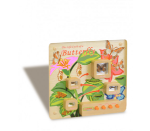 Панель «Жизненный цикл бабочки» - fgospostavki.ru - Лесной