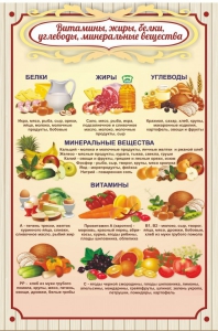 Стенд "Витамины, жиры, белки" - fgospostavki.ru - Лесной