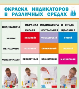 Стенд "Окраска индикаторов в различных средах" - fgospostavki.ru - Лесной