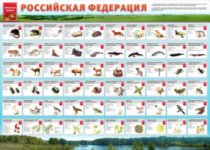 Стенд "Красная книга РФ" - fgospostavki.ru - Лесной