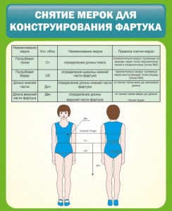 Стенд "Снятие мерок для конструирования фартука" - fgospostavki.ru - Лесной