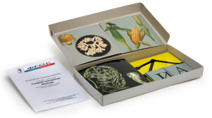 Модель-аппликация "Основные направления эволюции" (набор из 33 карт) - fgospostavki.ru - Лесной