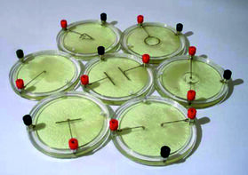 Демонстрационный комплект «Силовые линии электрического поля разных систем зарядов» - fgospostavki.ru - Лесной