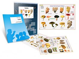 Комплект кодотранспарантов "Грибы" - fgospostavki.ru - Лесной