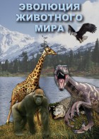 DVD "Эволюция животного мира" - fgospostavki.ru - Лесной