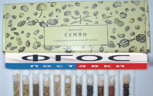 Коллекция "Семена к гербарию для начальной школы" (11 видов) - fgospostavki.ru - Лесной