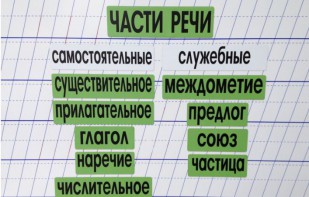 Набор магнитных карточек "Части речи" (фон зелёный) - fgospostavki.ru - Лесной