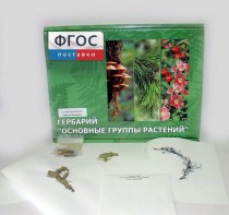 Гербарий "Основные группы растений" (52 листа) - fgospostavki.ru - Лесной