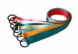 Лента гимнастическая на кольце (0,25 метра) - fgospostavki.ru - Лесной