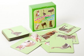 Набор магнитных карточек "Устный счет" (фон зеленый) - fgospostavki.ru - Лесной