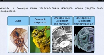 Интерактивные курсы. Биология 5 класс. Расширенный - fgospostavki.ru - Лесной