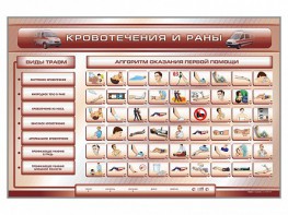 Трехсекционный базовый комплект "Травмы. Кровотечения. Ожоги" для учащихся общеобразовательных учреждений - fgospostavki.ru - Лесной