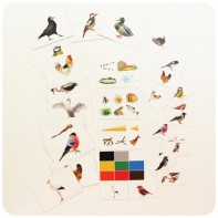 Набор магнитных карточек "Загадки-отрицания". Птицы - fgospostavki.ru - Лесной