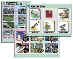 Комплект таблиц "Окружающий мир. Экология" (6 таблиц, А1, ламинированные) - fgospostavki.ru - Лесной