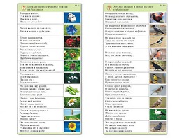 Комплект карточек (10) "Обучающий калейдоскоп. Природа" - fgospostavki.ru - Лесной