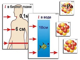 Модель-аппликация "Явление радиоактивности" (ламинированная) - fgospostavki.ru - Лесной