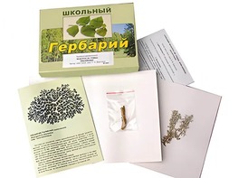 Гербарий "Водоросли. Грибы. Лишайники" (раздаточный) - fgospostavki.ru - Лесной