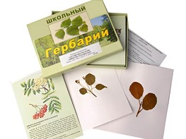 Гербарий "Систематика растений. Семейство Розоцветные" (раздаточный) - fgospostavki.ru - Лесной