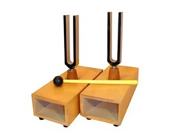 Камертоны на резонансных ящиках (пара) - fgospostavki.ru - Лесной