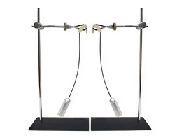 Маятник электростатический (пара) - fgospostavki.ru - Лесной