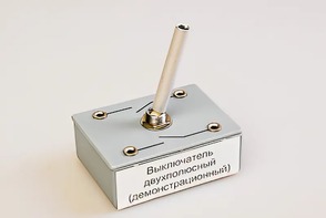 Выключатель двухполюсный (демонстрационный) - fgospostavki.ru - Лесной