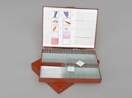 Комплект микропрепаратов "Общая биология" - fgospostavki.ru - Лесной