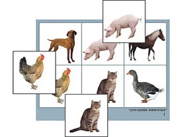 Логопедическое лото "Домашние животные" (4 планшета, 24 карточки, цветное, ламинированное) - fgospostavki.ru - Лесной