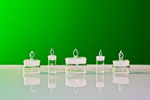 Комплект стаканчиков для взвешивания (бюкс) - fgospostavki.ru - Лесной