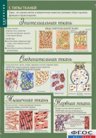 Комплект таблиц. Биология 8-9 класс. Человек. - fgospostavki.ru - Лесной