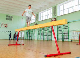 Бревно гимнастическое напольное постоянной высоты (700 мм) (5 м) - fgospostavki.ru - Лесной