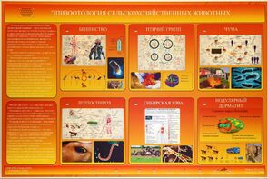 Электрифицированный стенд «Эпизоотология сельскохозяйственных животных» - fgospostavki.ru - Лесной