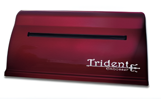 Принтер для печати рельефно-точечным шрифтом Брайля Trident - fgospostavki.ru - Лесной