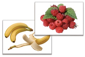 Дидактическое пособие "Фрукты, ягоды, орехи" (24 карточки) - fgospostavki.ru - Лесной