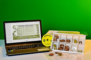 Коллекция натурально-интерактивная "Палеонтологическая" - fgospostavki.ru - Лесной