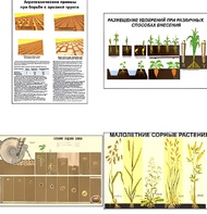 Плакаты ПРОФТЕХ "Агрономия" (5 пл, винил, 70х100) - fgospostavki.ru - Лесной