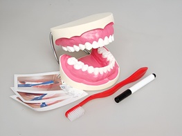 Игровой комплект "Чистим зубы" - fgospostavki.ru - Лесной